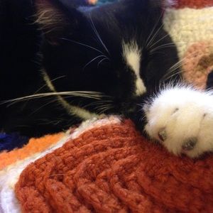 Meet your Posher, AJ